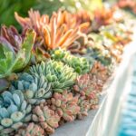 Must-Try Planters for Your Pool Area