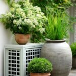 Creative Landscaping Ideas to Hide Your AC Unit