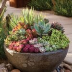 Explore Stunning Container Ideas Perfect for Full Sun Areas