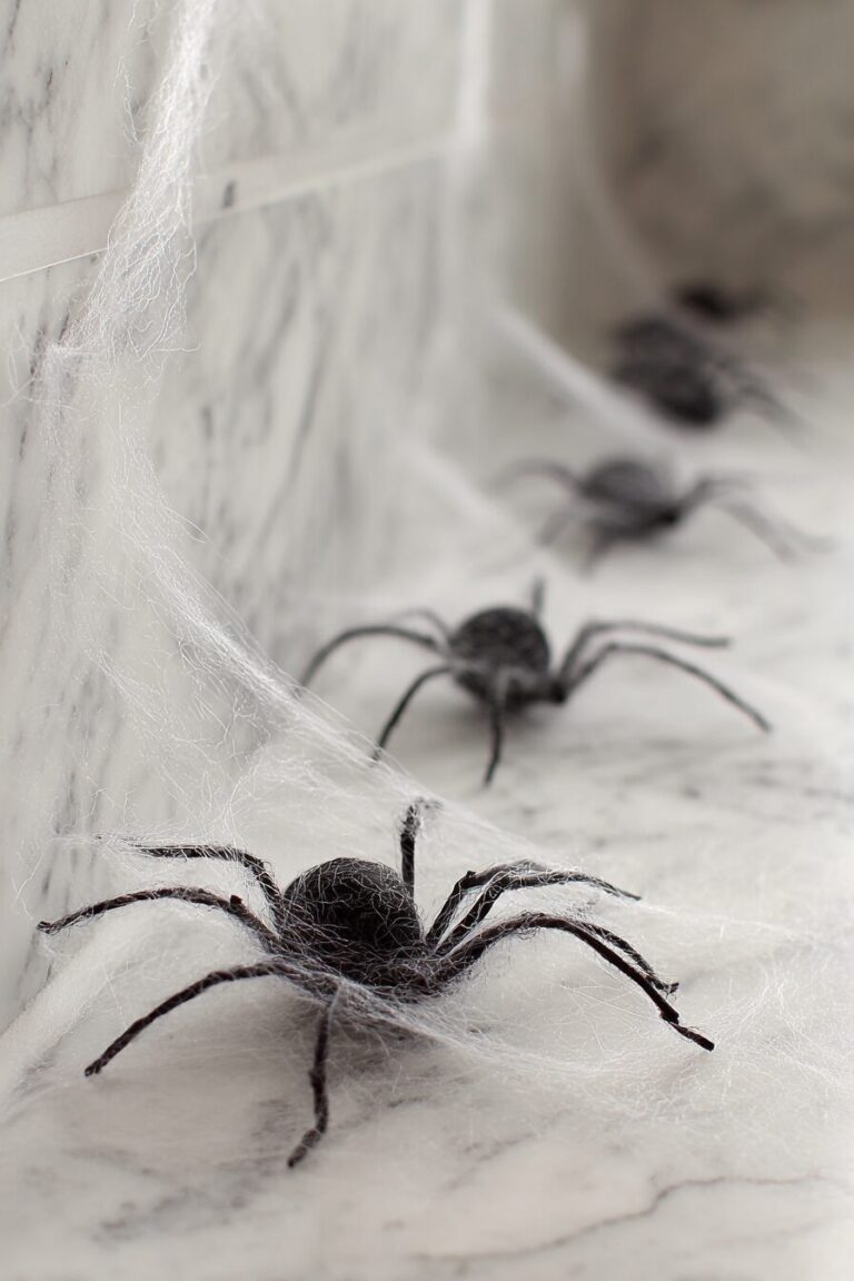 Spooky Decor Ideas For Your Halloween Bathroom
