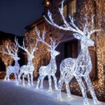 Outdoor Christmas Decor Ideas For A Fun Look