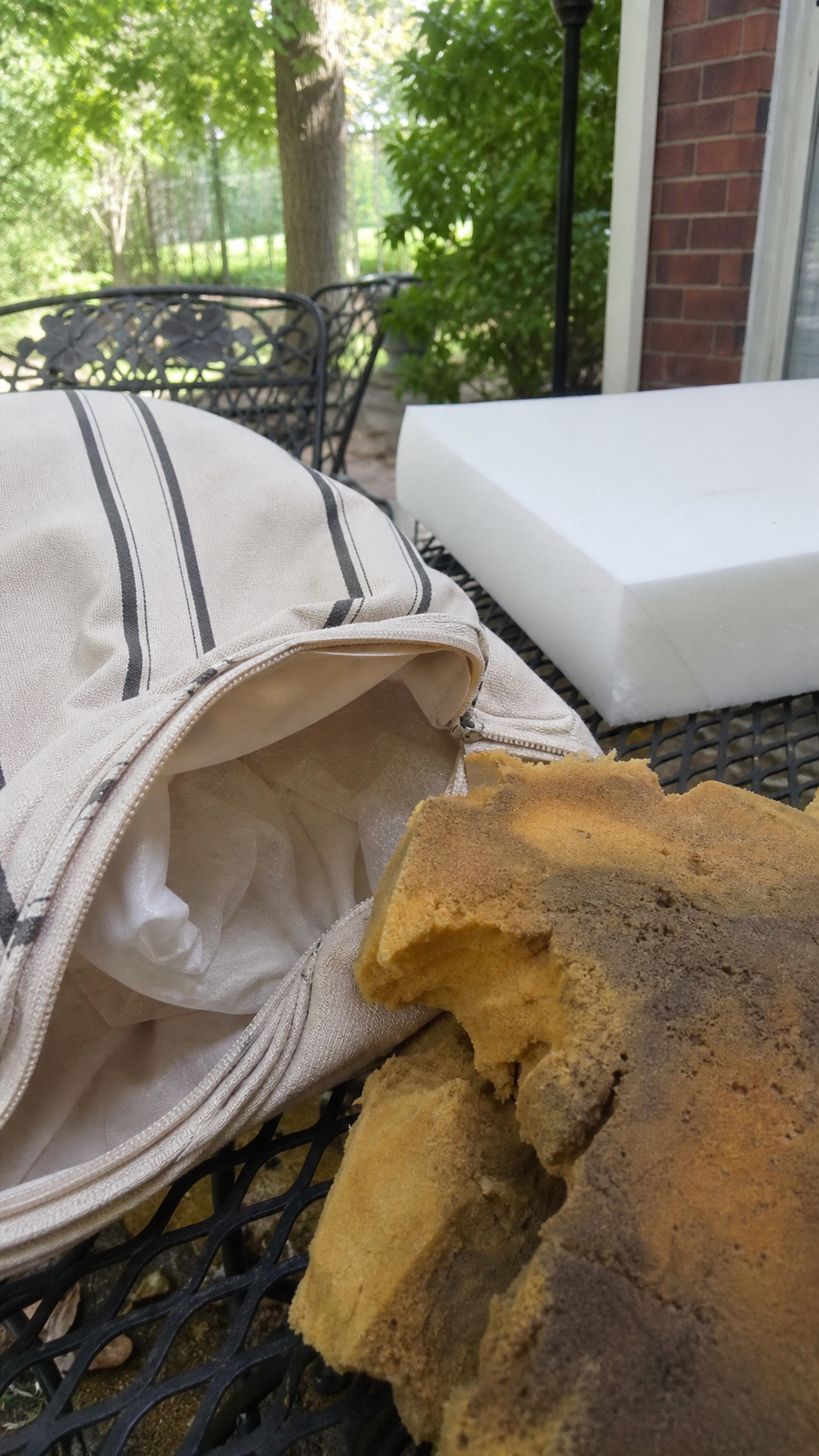 The Mildew Problem and How to Actually Solve It, Not Just Mask It