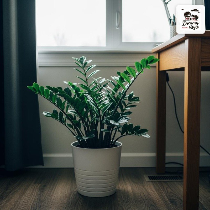Plants Make the Whole Thing Feel Alive