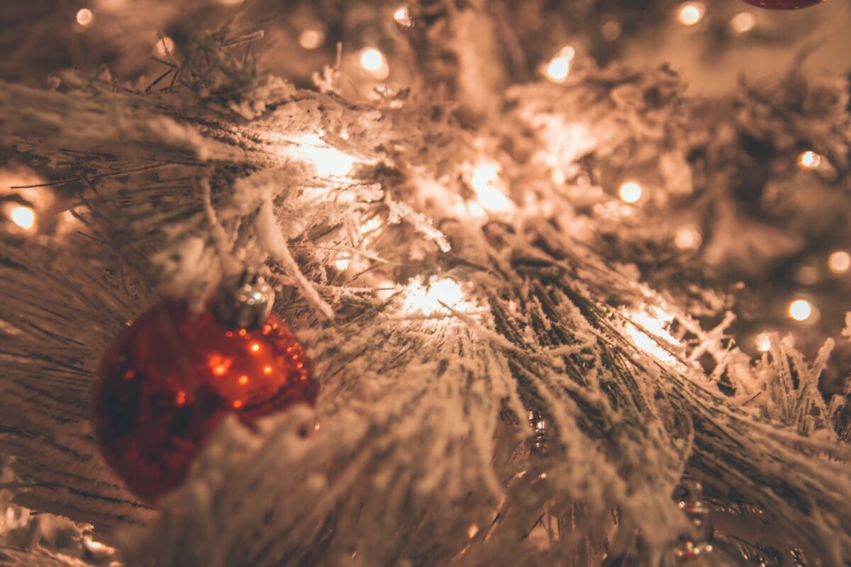 Close-up of flocked tree branches with white-tipped needles, warm lights and a red ornament