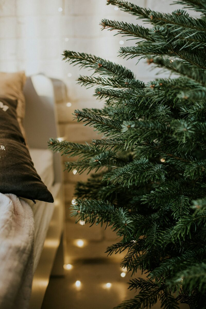 Fir branches beside a seat piled with pillows, with warm fairy lights glowing low near the floor