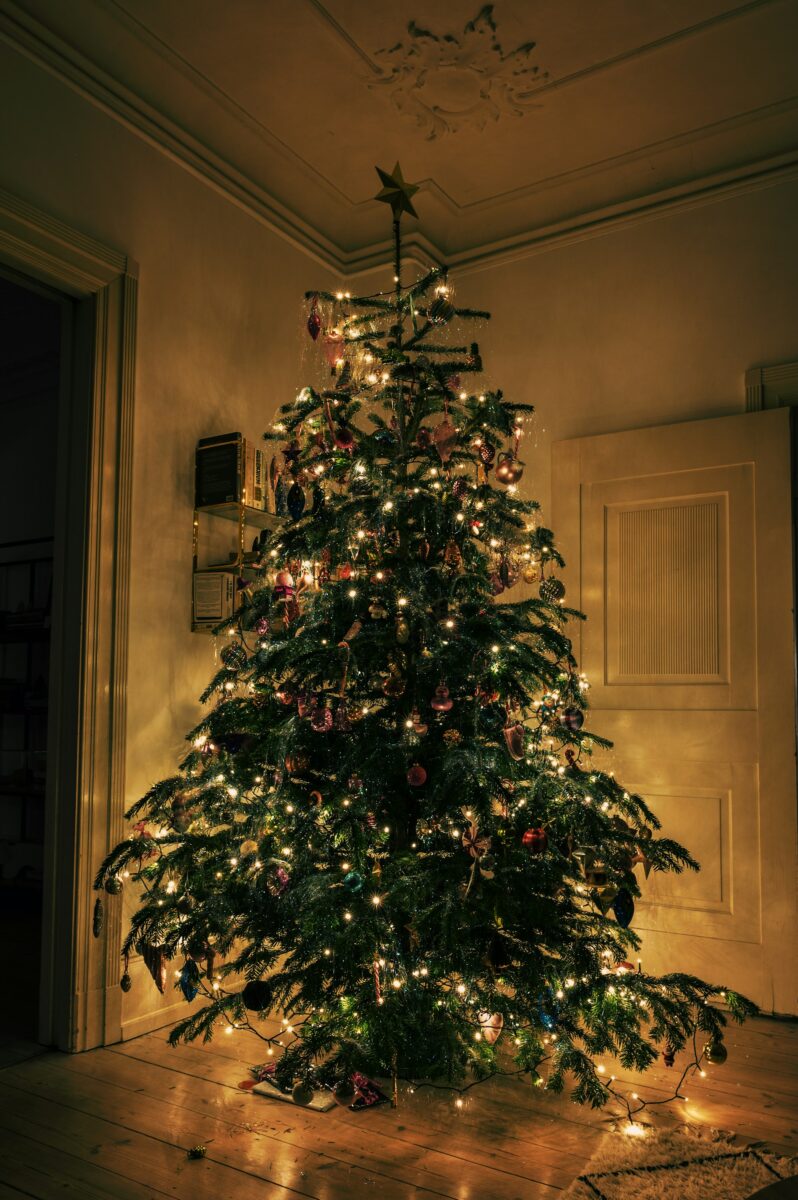 A real fir tree with open gaps between its branches, lit with warm white string lights and a star on top, in the corner of an old room