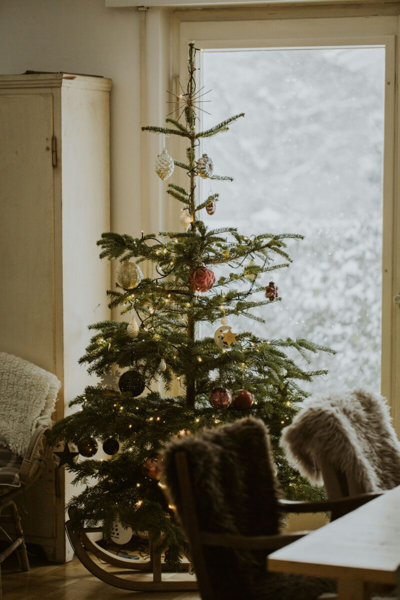 A sparse Christmas tree with a straw star on top by a snowy window, a wooden sled under it and sheepskins on two chairs