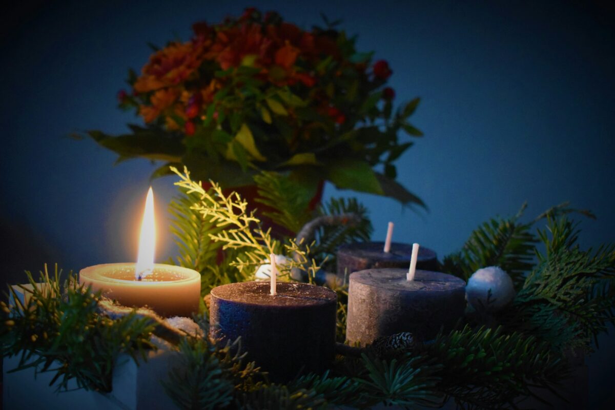 Four Advent candles set in fir branches, the first one lit and the other three still waiting