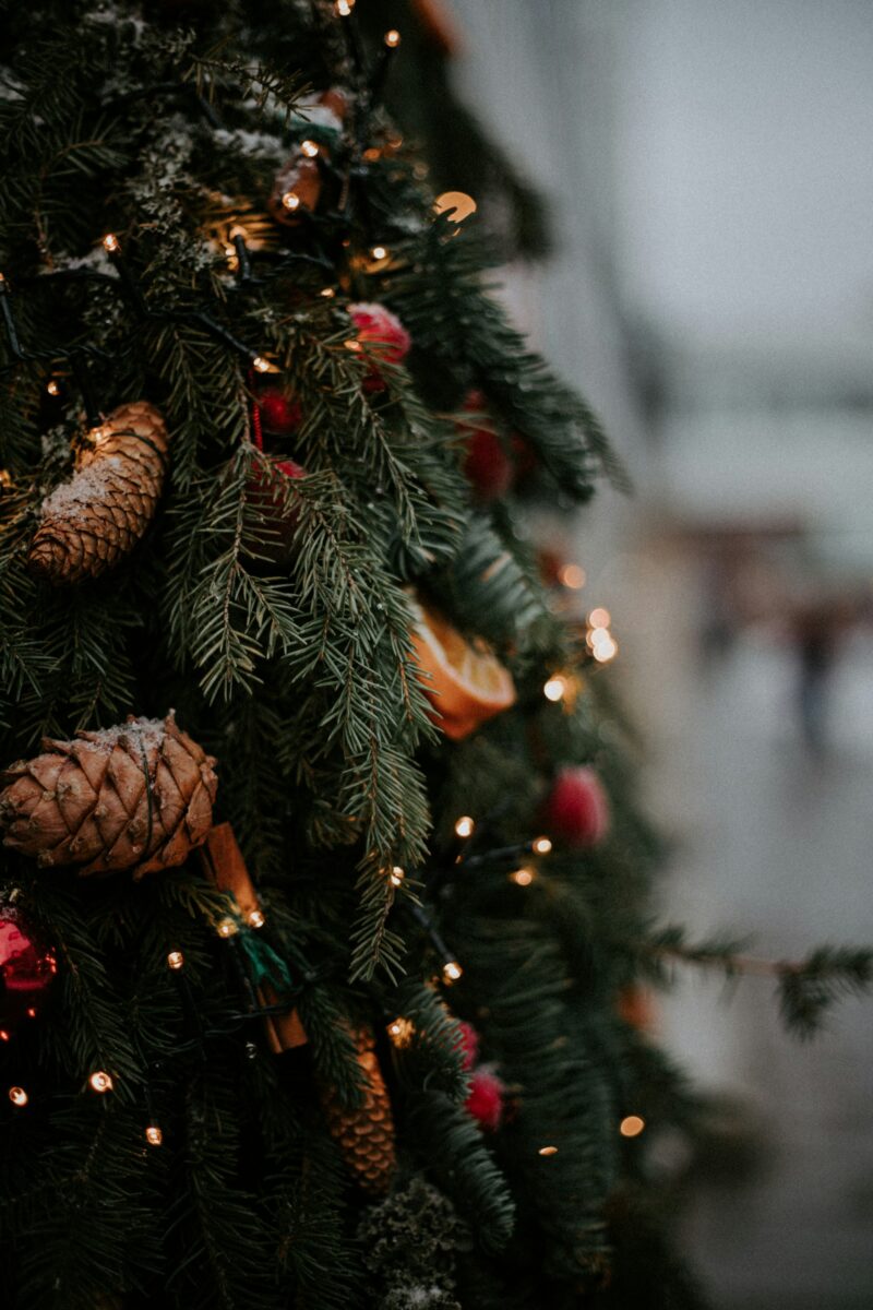 Pinecones, a dried orange slice, cinnamon sticks and red berries tucked into Christmas tree branches with tiny lights