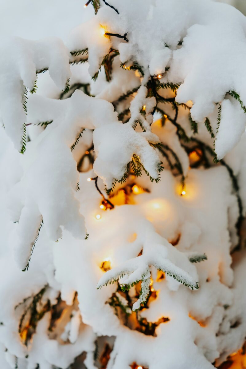 Fir branches heavy with snow, warm string lights glowing through the white