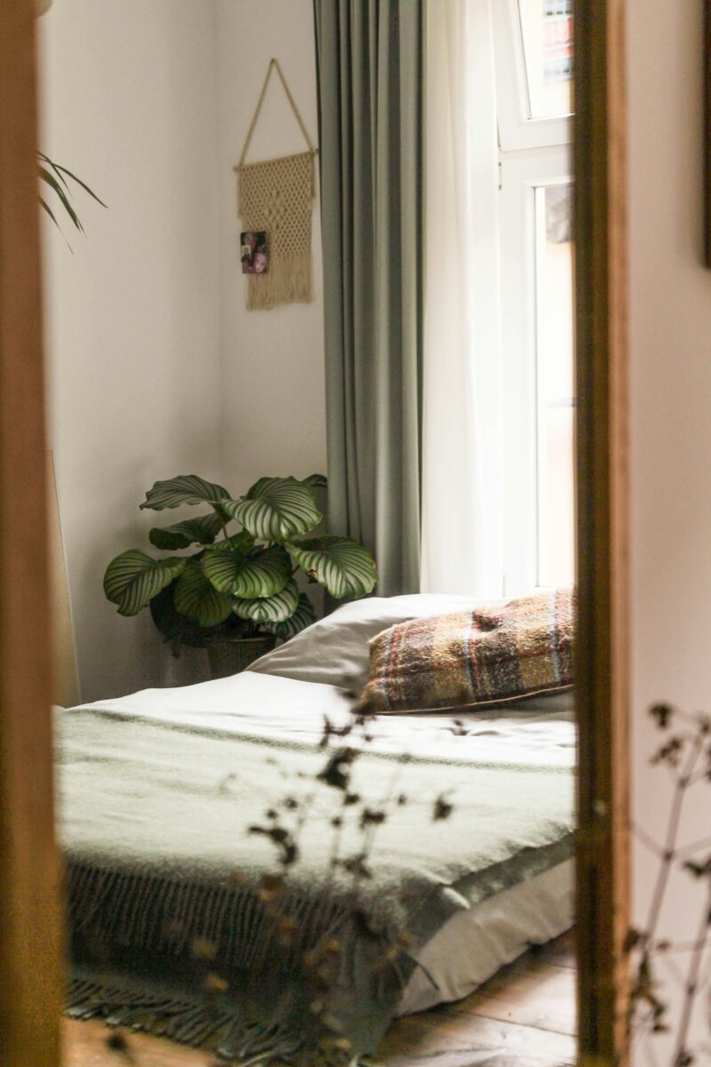 A bedroom seen through a doorway with a fringed wool throw, a plaid pillow, a leafy plant and a window with green curtains