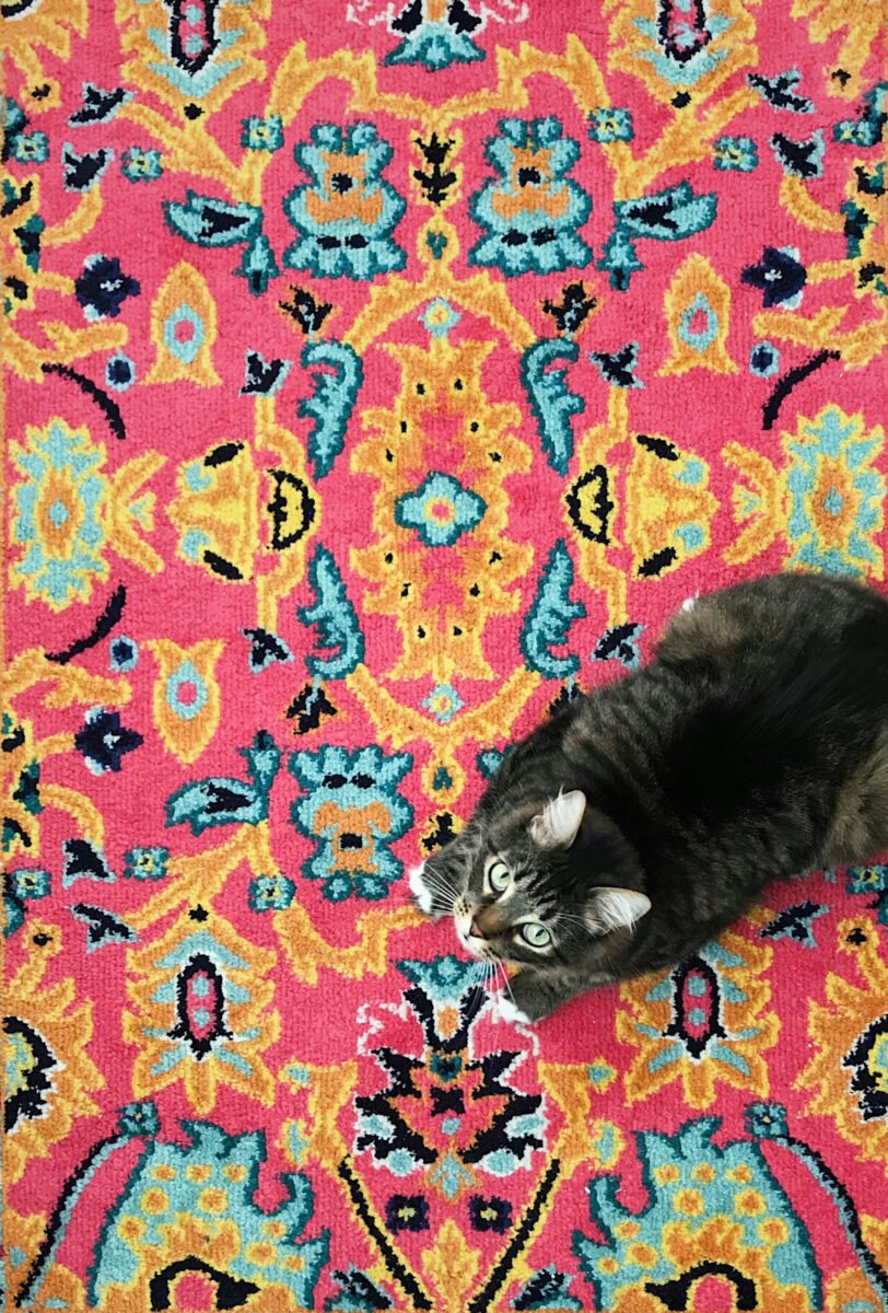 Tabby cat with green eyes looking up from a hot pink Persian-style rug with turquoise, yellow and navy flowers, seen from above